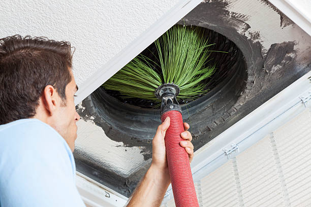 Best Ductwork Cleaning Services  in Gallup, NM